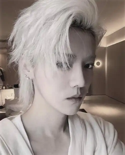 鹿晗银发剪短了##鹿晗回应剪发