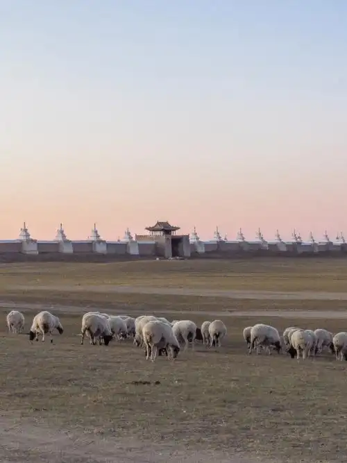 五一78旅游蒙古古都哈拉和林篇