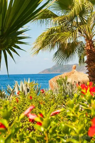 土耳其的天堂: 大海,棕榈树,充满异国情调的鲜花