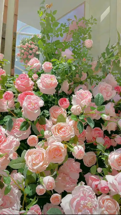 壁纸 花 花束 鲜花 桌面 690_1228 竖版 竖屏 手机