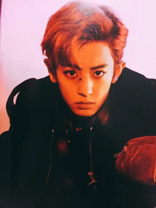 朴灿烈-堆糖,美好生活研究所