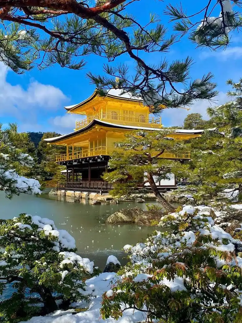 日本旅游包车机场接送机