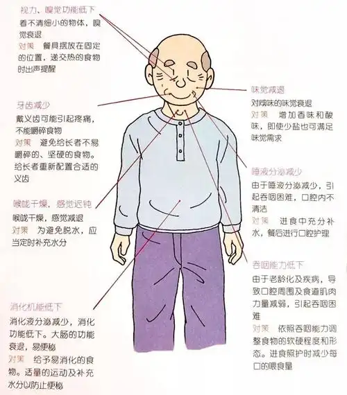 优秀的护理员老年人饮食照护全图解请查收
