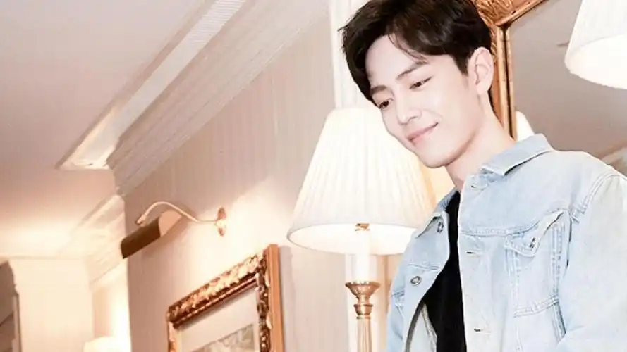 回车桌面>电脑壁纸>明星>大陆明星>肖战帅气牛仔外套迷人写真>相关