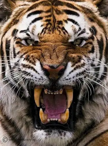 研讨圣地:帖子是研讨养基投资的圣地,任何喷子胆敢在