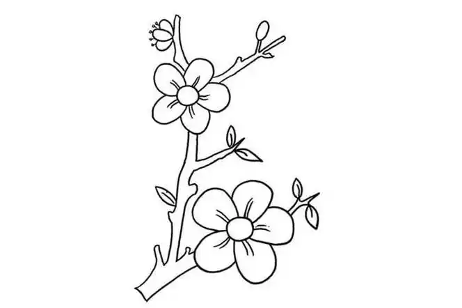 桃花简笔画 桃花简笔画彩色