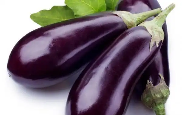 秋后茄子如何进行栽培?都有哪些栽培技巧?