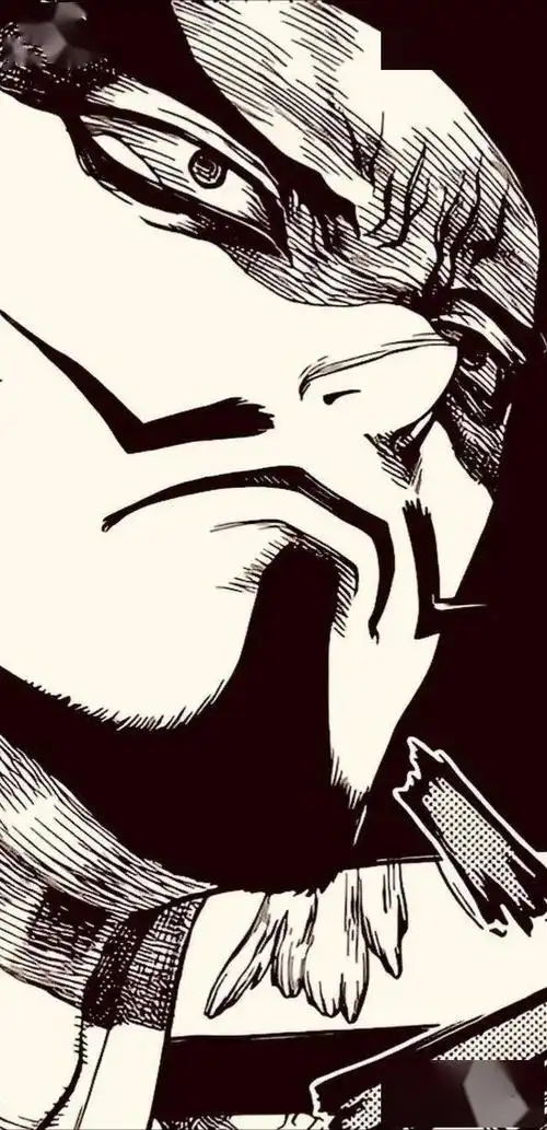 海贼王壁纸|这黑白画风喜欢!