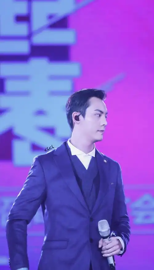 陈伟霆 141029湖南卫视广告招商会