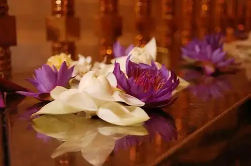 莲花,俺也整了捧,很虔诚的拜了拜