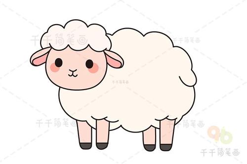 可爱的绵羊简笔画步骤图