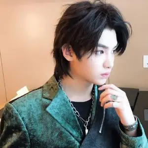 网红假发男短发中分刘海狼尾鲻鱼头韩版帅气酷潮自然蓬松全头套式