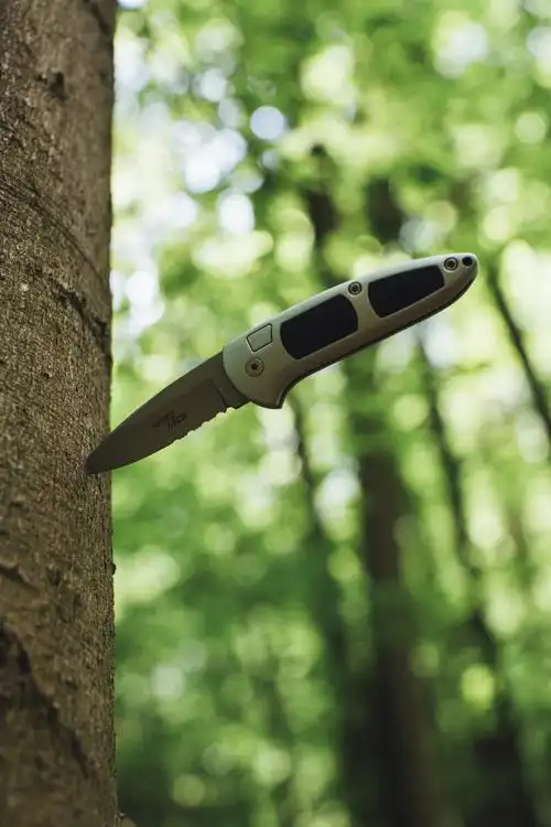 夏季,天性,宁静,工厂,厂,弯刀,性质,成长,户外,木,木头,林地,柄,森林