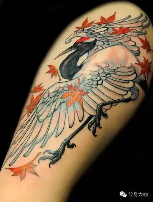 【第326期纹身素材】枫叶