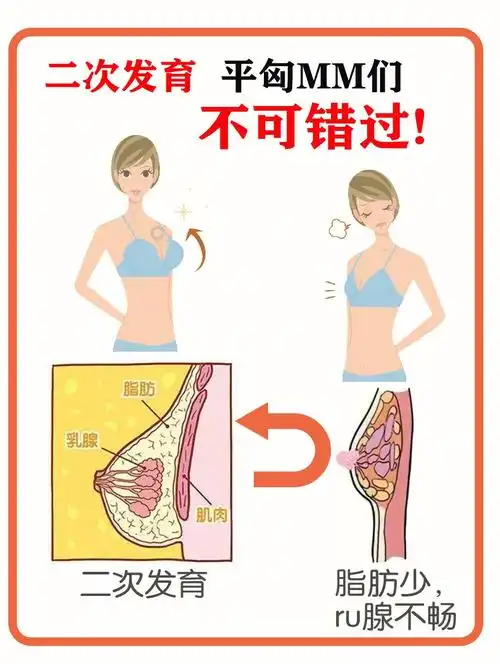 真正有效的丰胸方法  #丰胸  #丰胸小妙招  #平胸想丰胸  #如何丰胸