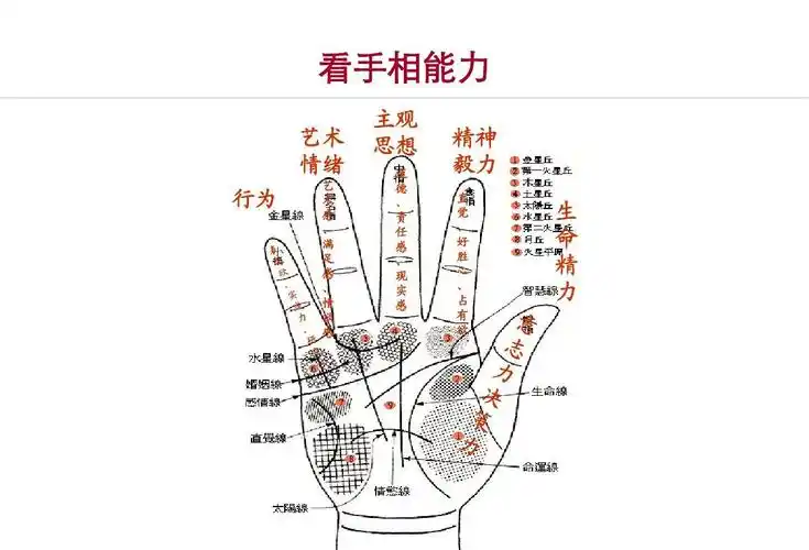 看手相相能力_word文档在线阅读与下载_免费文档