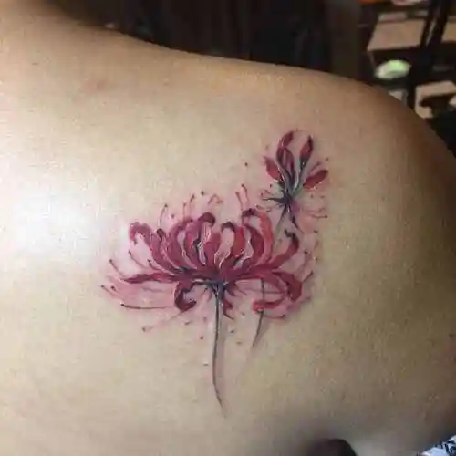 为什么女生不纹彼岸花女人纹彼岸花好不好