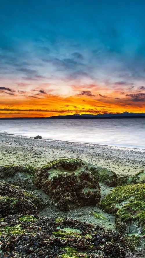 超高清唯美壁纸总有一款属于你10801920130p