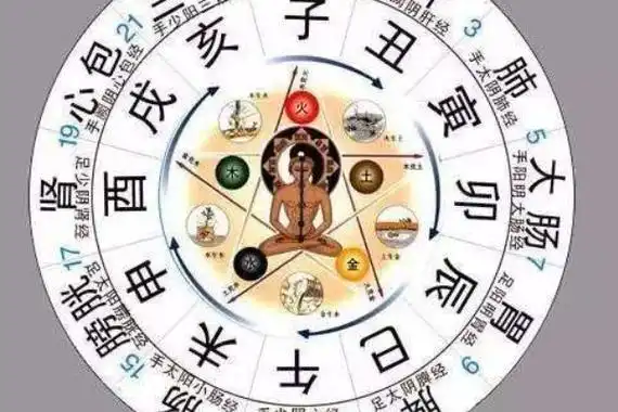 q2:12时辰对应五脏六腑