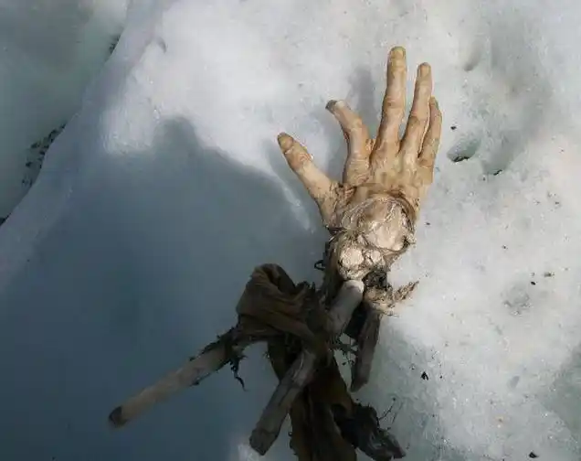 超过50年都没有腐坏真的太让人震惊了!