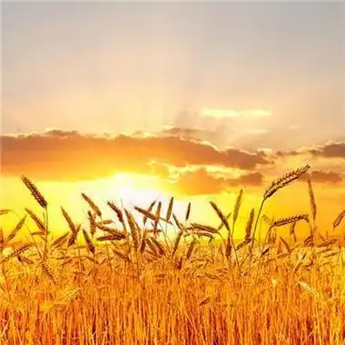 2024男人旺事业微信头像图片 男人吉利好运的头像