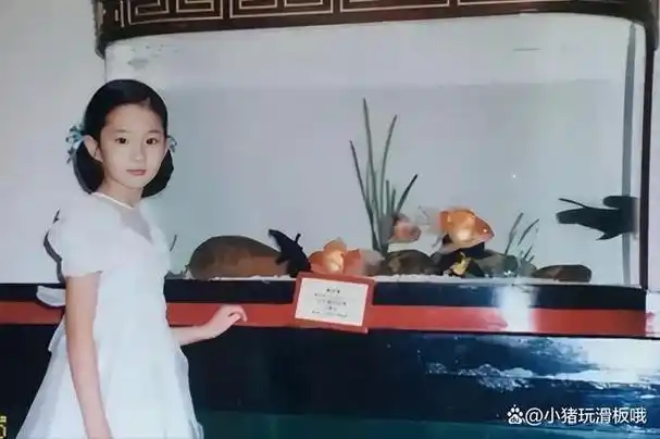 倪妮的的奋斗史,她又是如何从泥潭脱身的