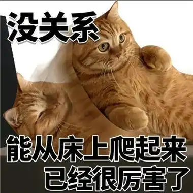 猫猫表情最近很火很好笑 没关系又活一天已经很厉害了