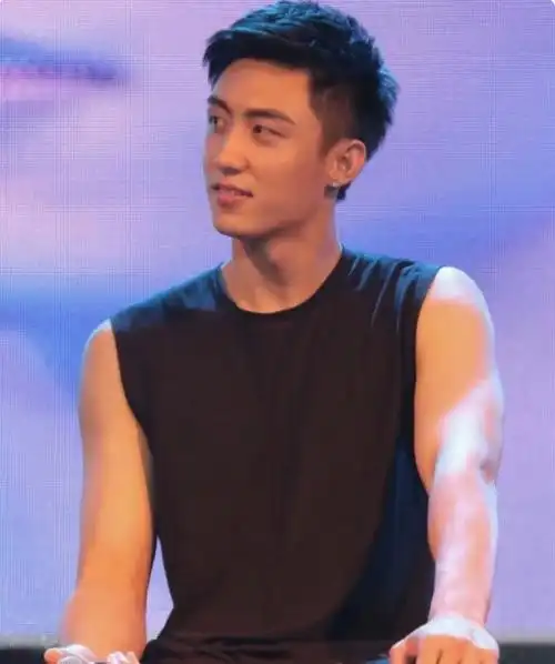 内娱有黑黑帅帅的男明星吗