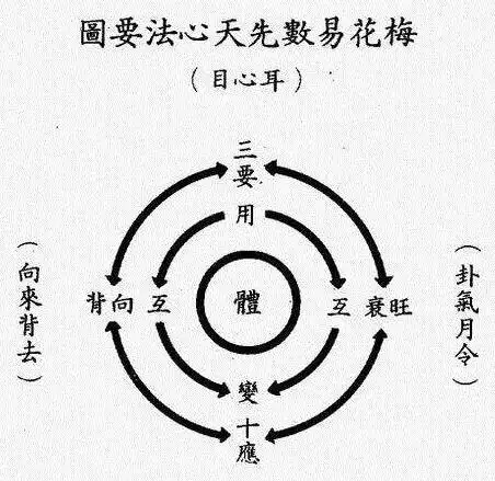24号梅花易数公益课透过易学中的象学变化可以知道世间万物的运作以及