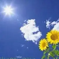 形容春天景色美丽的头像图片大全_微信头像图片大全