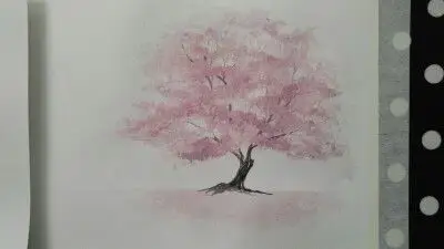 风景如画】图片评论3条樱花树下487土英战神极发布到动漫美少女图片