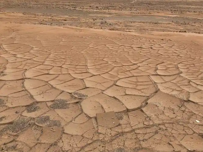 罗布泊里面龟裂的大地