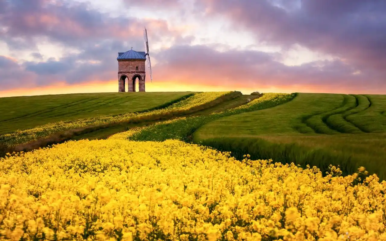 草原上的风车,高清壁纸,风景图片-回车桌面