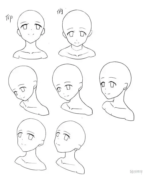 作业:动漫人物头部仰视,俯视的画法训练 - rh-5-216搁浅 - 轻微课