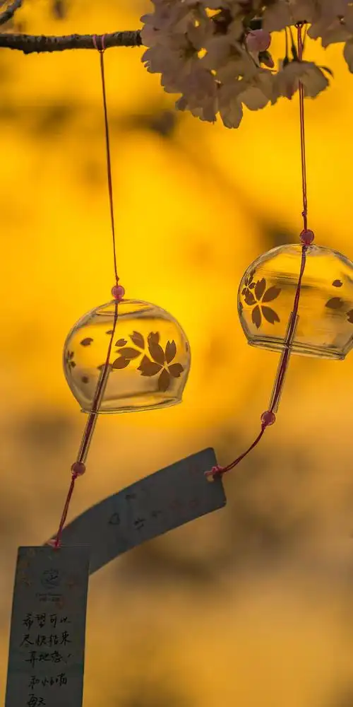 黄昏下的风铃1125x2436分辨率查看