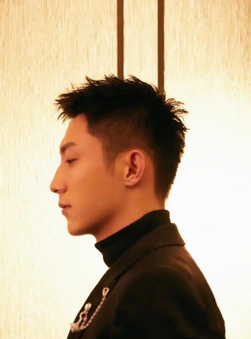 鲸鱼的完美侧脸