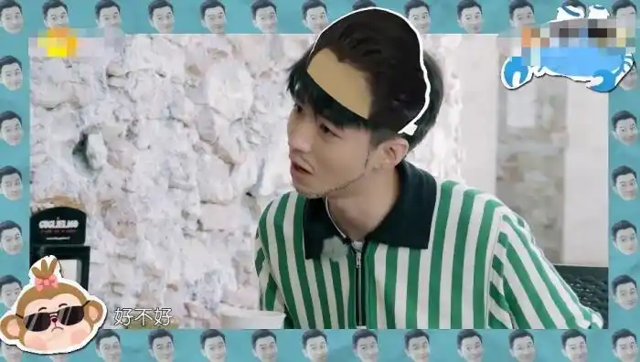 王俊凯黑粉秦海璐杨紫王俊凯早已是资深黑粉