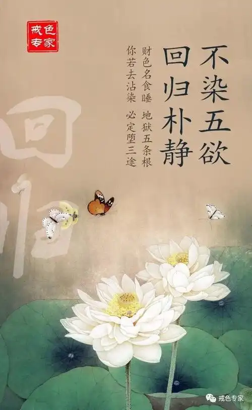 点击蓝字关注戒色专家