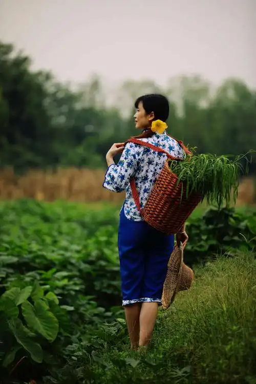 村里有个姑娘叫小芳(四川/乐山)