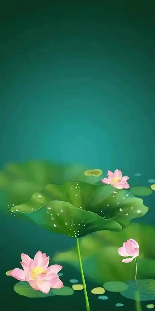 壁纸护眼绿色壁纸