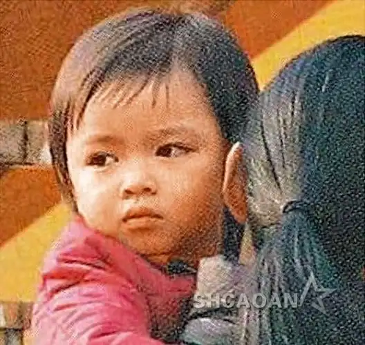 朱丽倩带刘向蕙赴京和刘德华团聚 天王女出巡5人照顾(图)