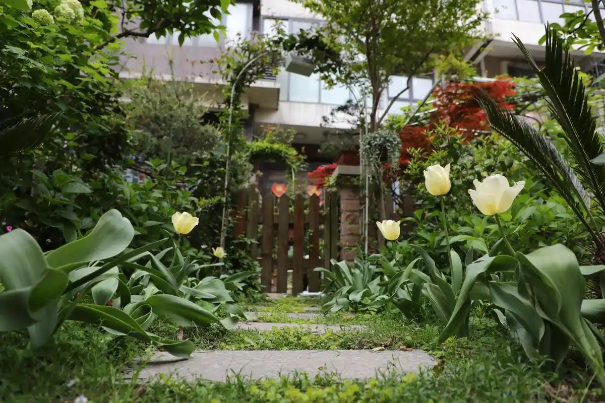 打造家门口的美丽花园,"自治花园"模式在奉贤南桥悄然成风