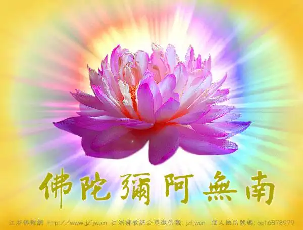 印光大师:念佛时对治心散乱---观想莲花放光法