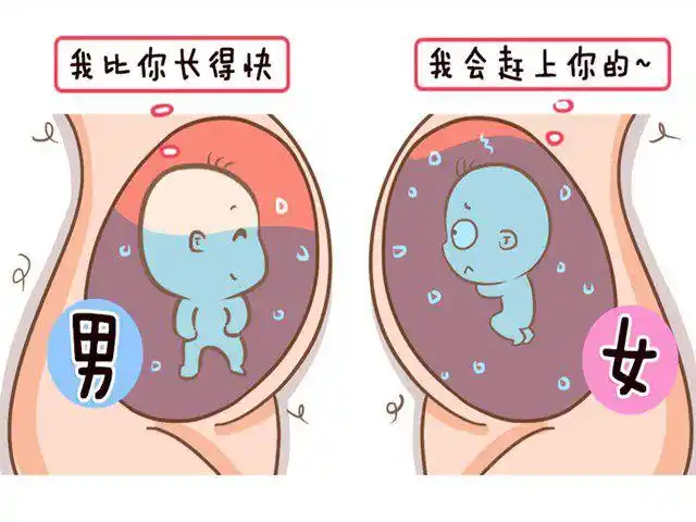 临近产期,孕妈妈的宫颈口会慢慢的张开,随之,分泌物以及白带的量也会