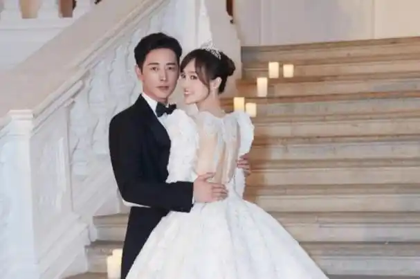 演员苗圃拒绝王大治和罗晋却嫁给大19岁富豪婚后生下龙凤胎