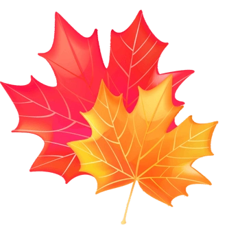 卡通枫叶