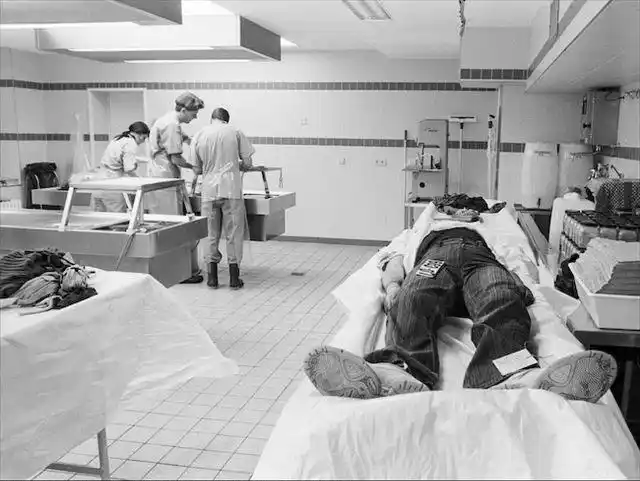 揭秘真实法医解剖室胆小勿入