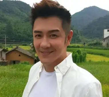 科技脸和自然脸区别有多大初见荧屏惊鸿一瞥如今却已判若两人