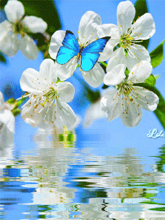 gif# #鲜花# 灬铃兰灬采集