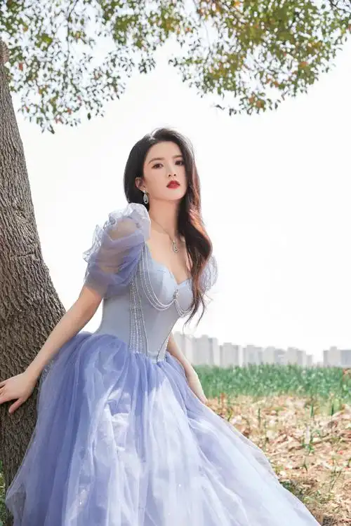 刘些宁人鱼星光裙